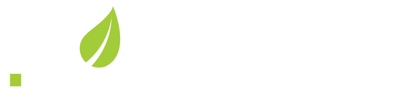 bolsing